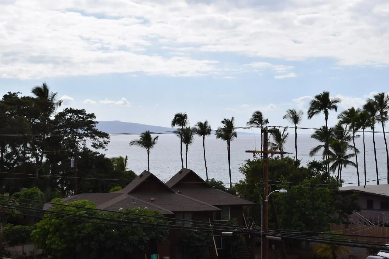 키헤이 Maui Vista 1412 아파트
